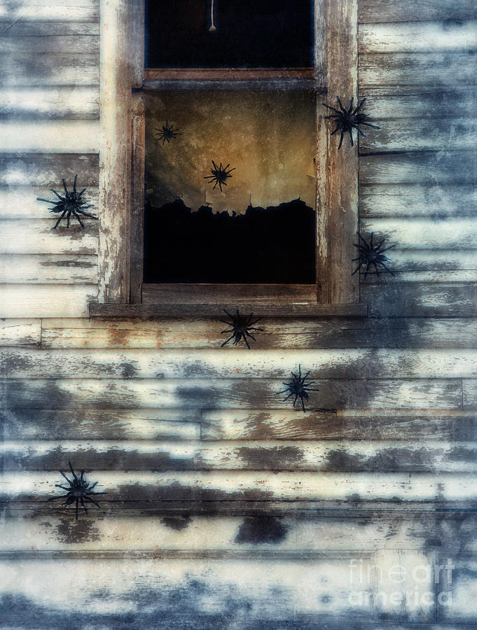 Tarantula Spiders Crawling on an old House Photograph by Jill Battaglia