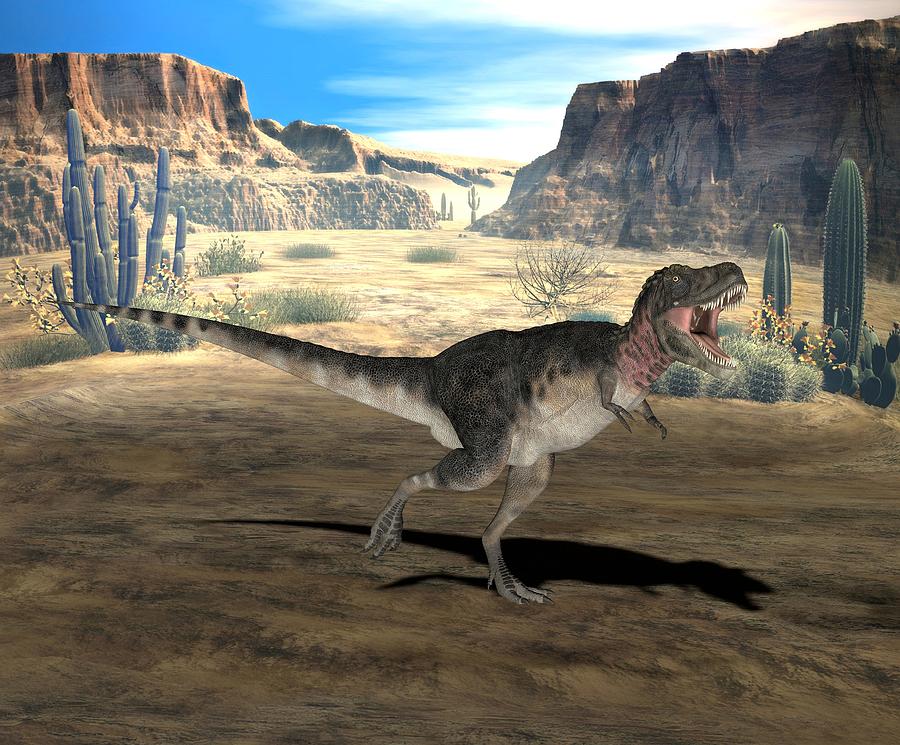 Prehistoric Photograph - Tarbosaurus Dinosaur, Computer Artwork by Friedrich Saurer
