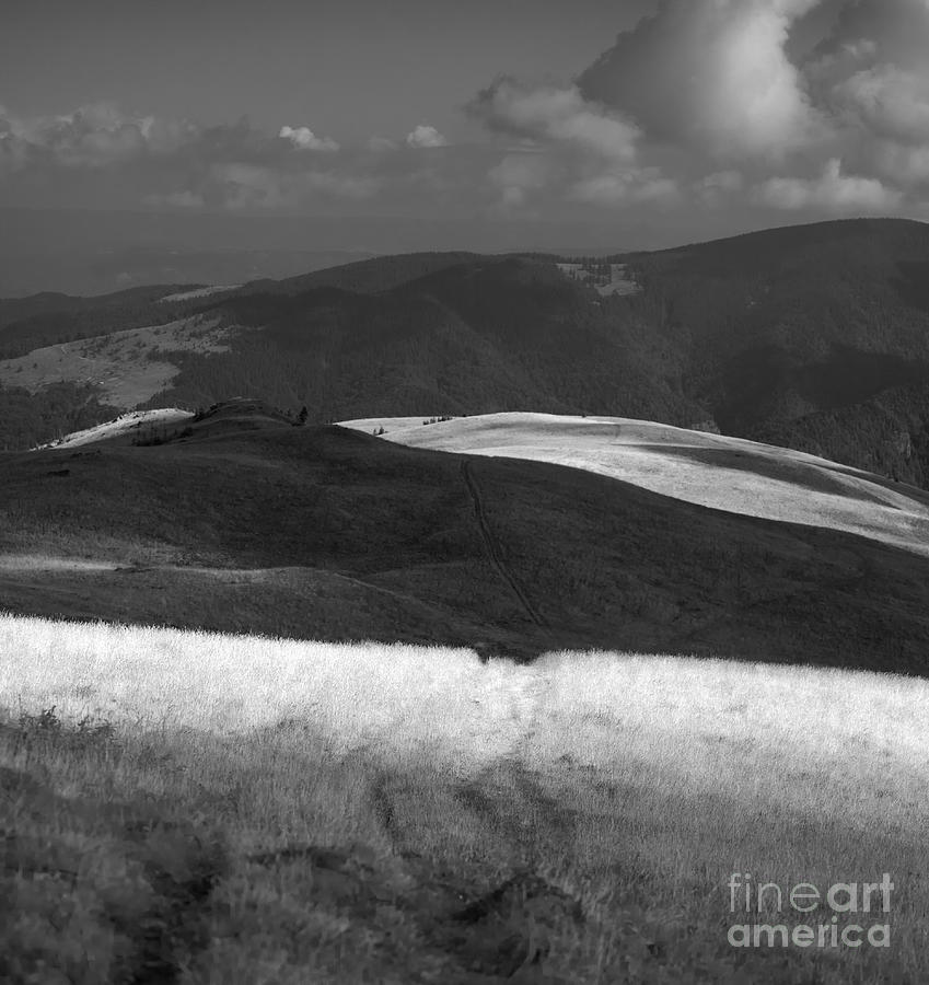 Mountain Photograph - Tarcu mountains before storm by Gabriela Insuratelu