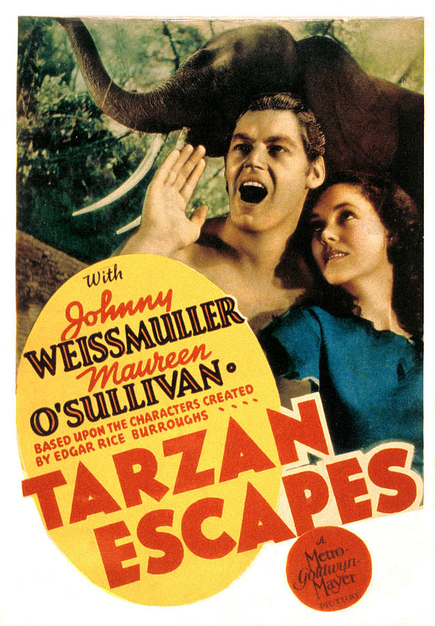 Tarzan Escapes Johnny Weissmuller Photograph By Everett Fine Art America 