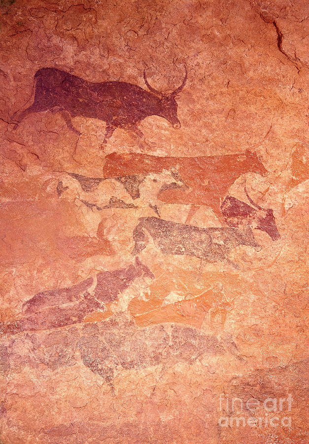Prehistoric Photograph - Tassili Rock Paintings by Photo Researchers