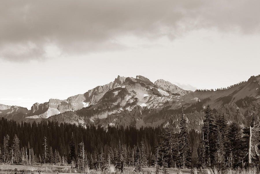 Tatoosh Range in Timeless Sepia Photograph by Connie Fox