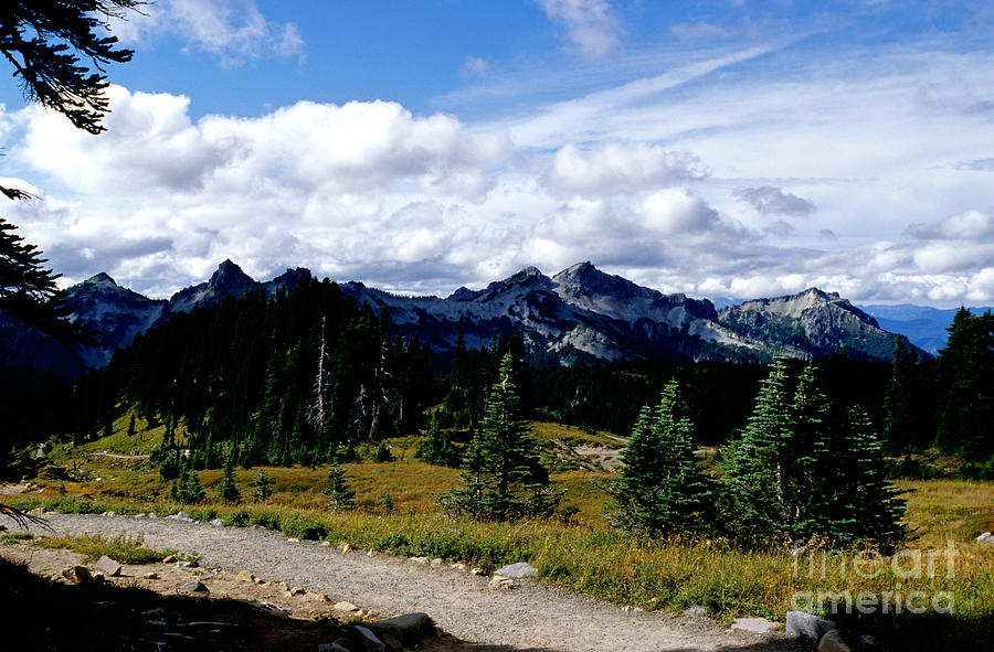 Tatoosh Range Photograph By Sharon Elliott Fine Art America