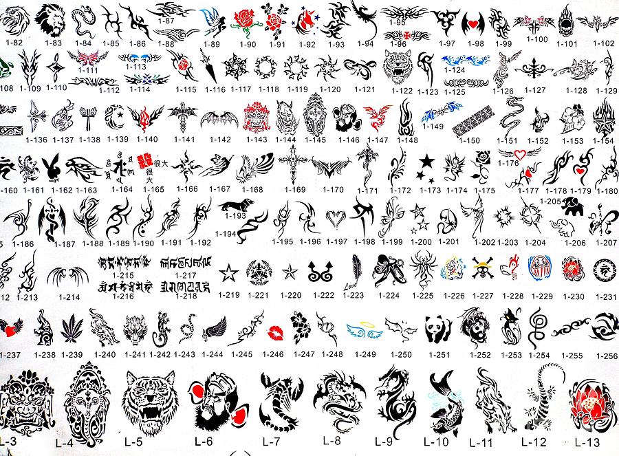 Tattoo Catalog Of Designs Photograph by Yali Shi