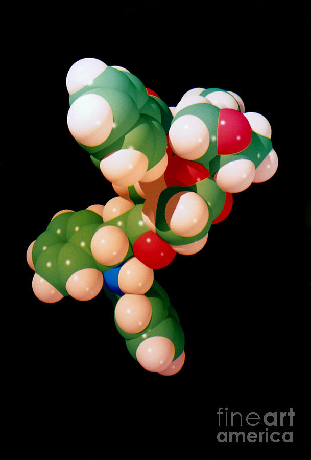 Taxol Molecule Photograph by Science Source