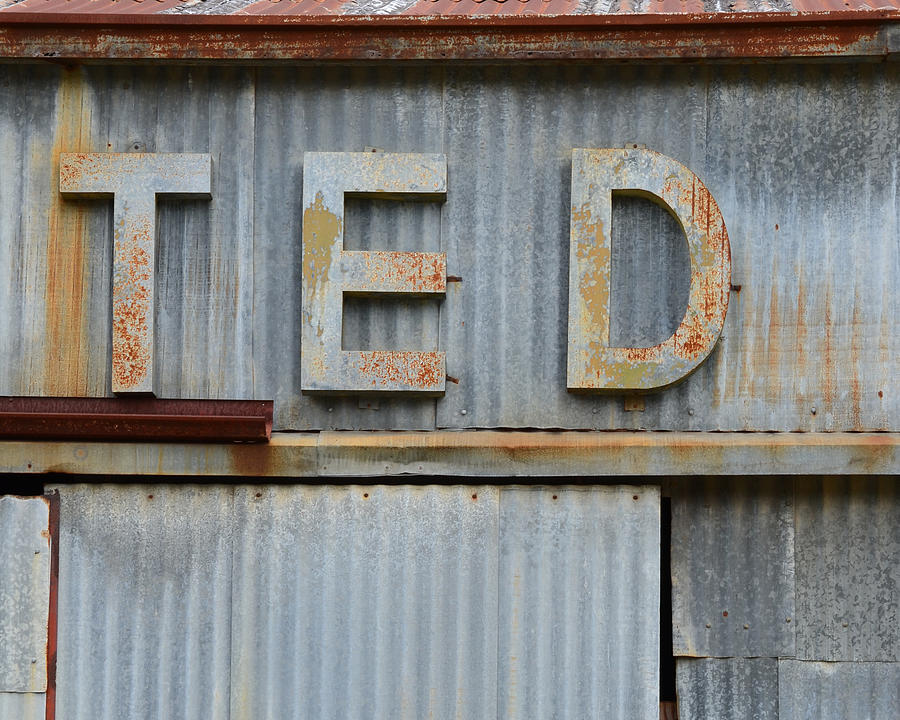 TED Rusty Name Sign Art Photograph by Nikki Smith