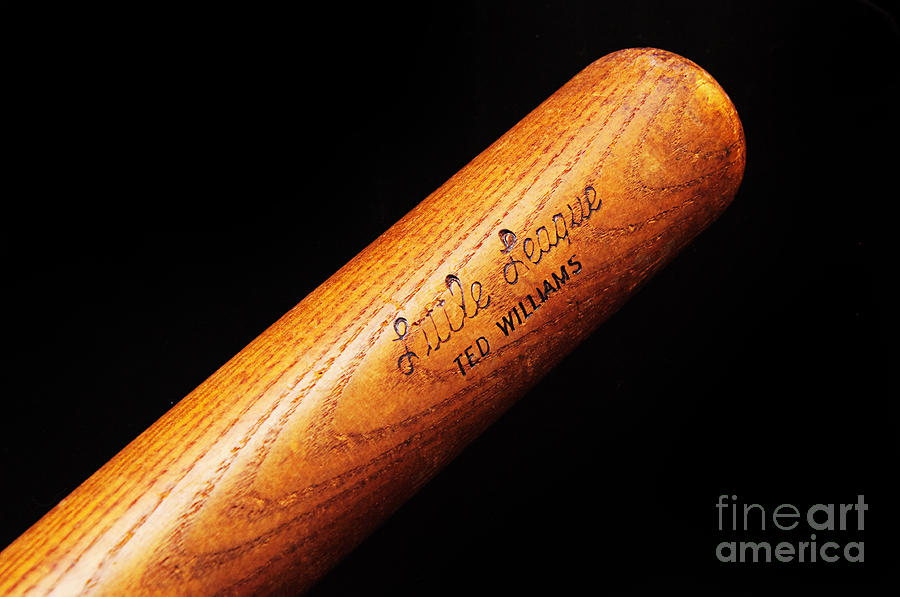Baseball Bat Photograph - Ted Williams Little League Baseball Bat by Andee Design