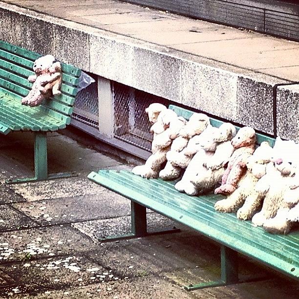 Architecture Photograph - Teddies On A Bench??? by Antony Crafford