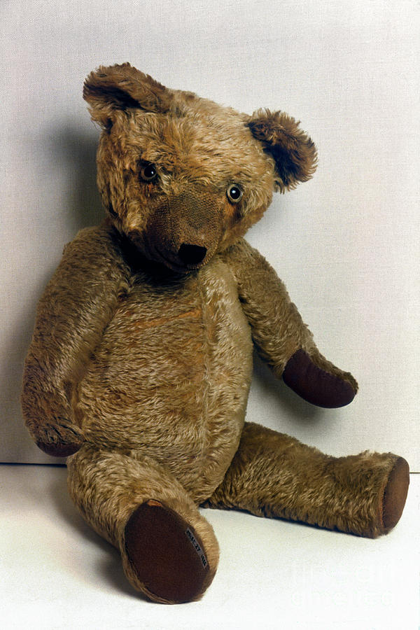 Teddy Bear Photograph by Granger