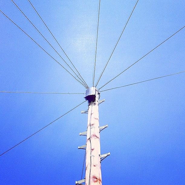 Lookup Photograph - Telephone Pole Against A Clear Blue Sky by Rob Jewitt