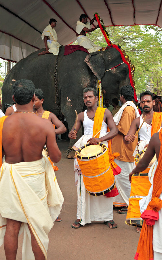 Temple elephant and drummers Photograph by Paul Cowan