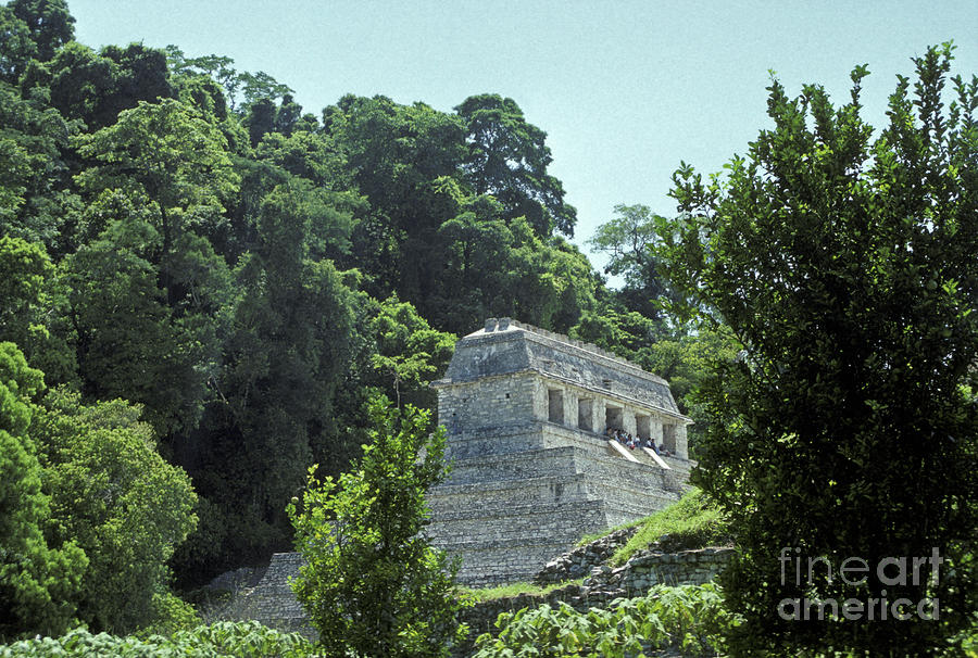 TEMPLE IN THE TREETOPS  Palenque Mexico Photograph by John  Mitchell