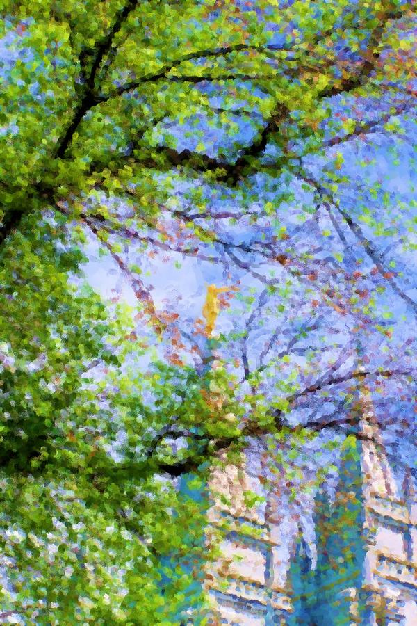 Temple Square Spring Photograph by Michael Maynor - Fine Art America