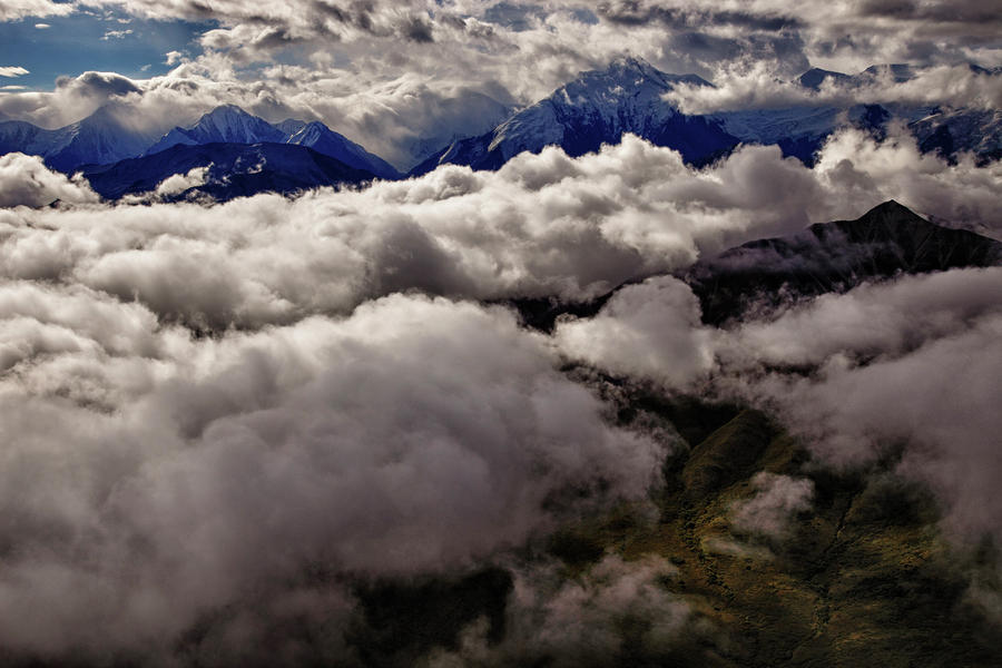 Denali National Park Photograph - Ten Thousand Feet Over Denali by Rick Berk