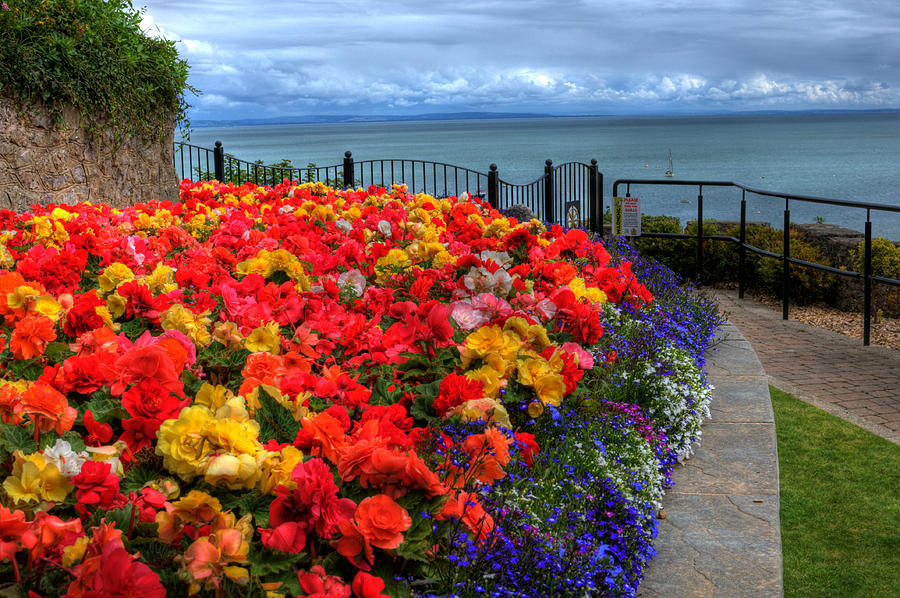 Tenby in Bloom Photograph by Steve Purnell