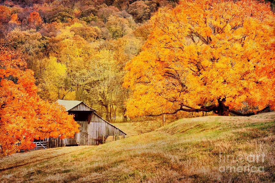 Tennessee Autumn Barn Photograph By Cheryl Davis