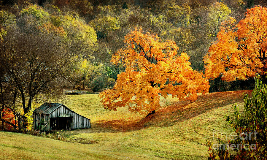 Barn Photograph - Tennessee Autumn Farmland by Cheryl Davis