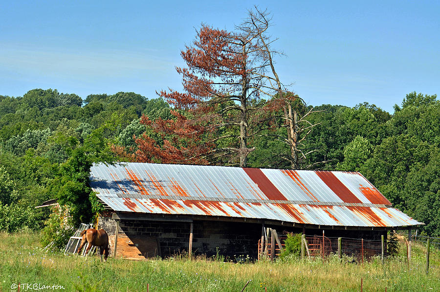 Tennessee Barn 2 Photograph by Teresa Blanton