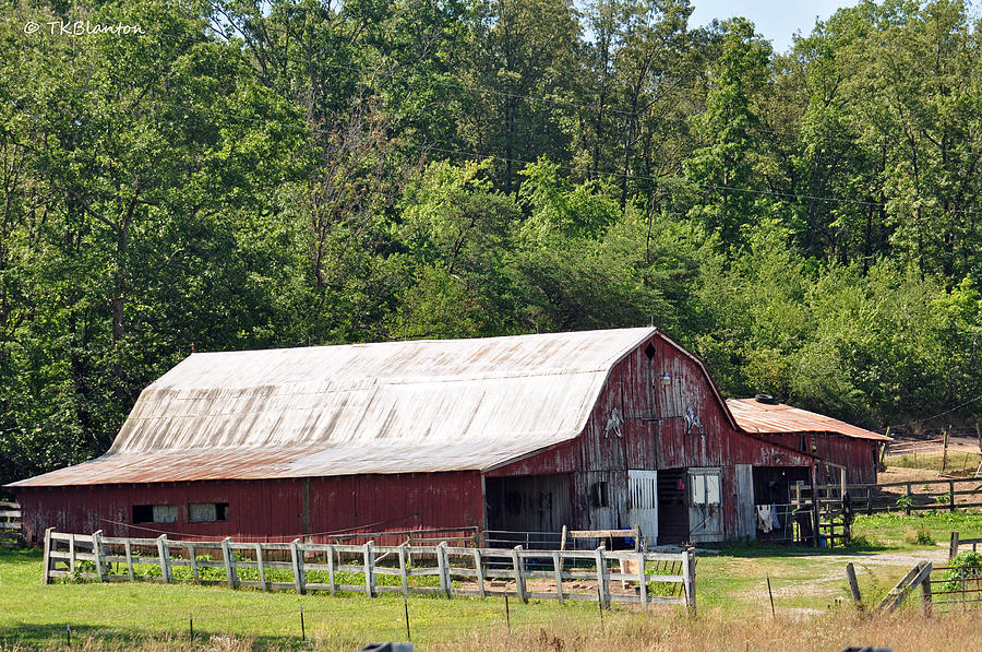 Tennessee Barn 6 Photograph by Teresa Blanton
