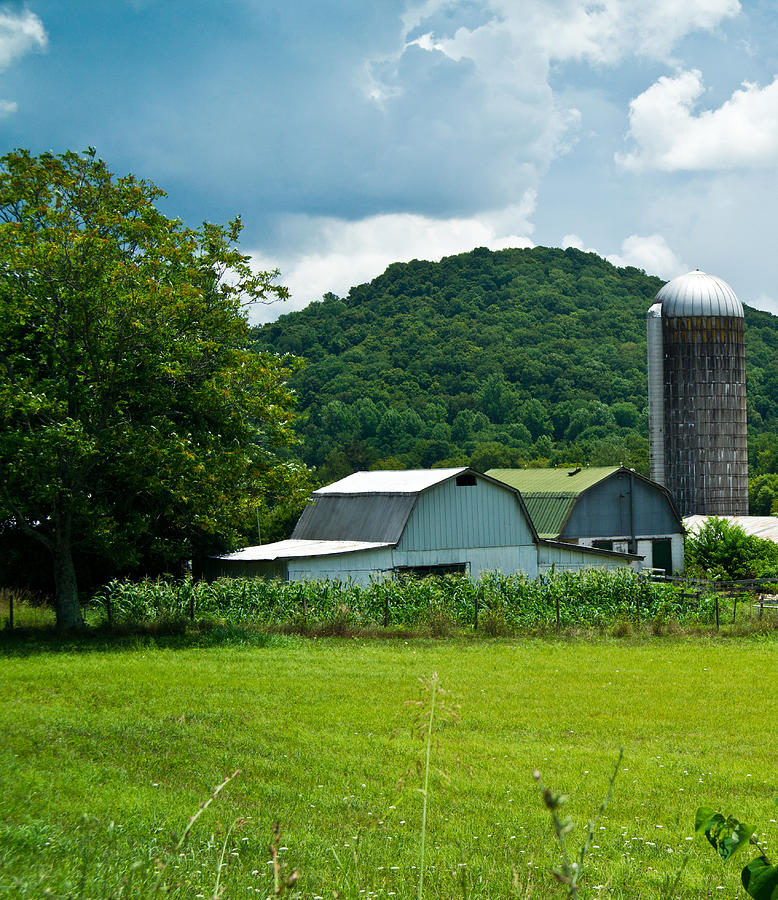 Barn Photograph - Tennessee Farm 1 by Douglas Barnett