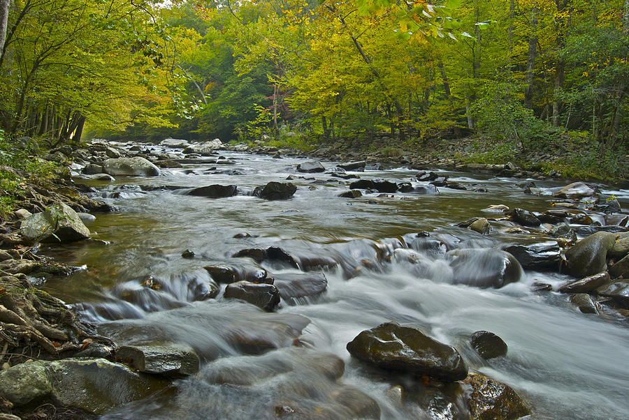 Tennessee Stream 6031 Photograph by Michael Peychich