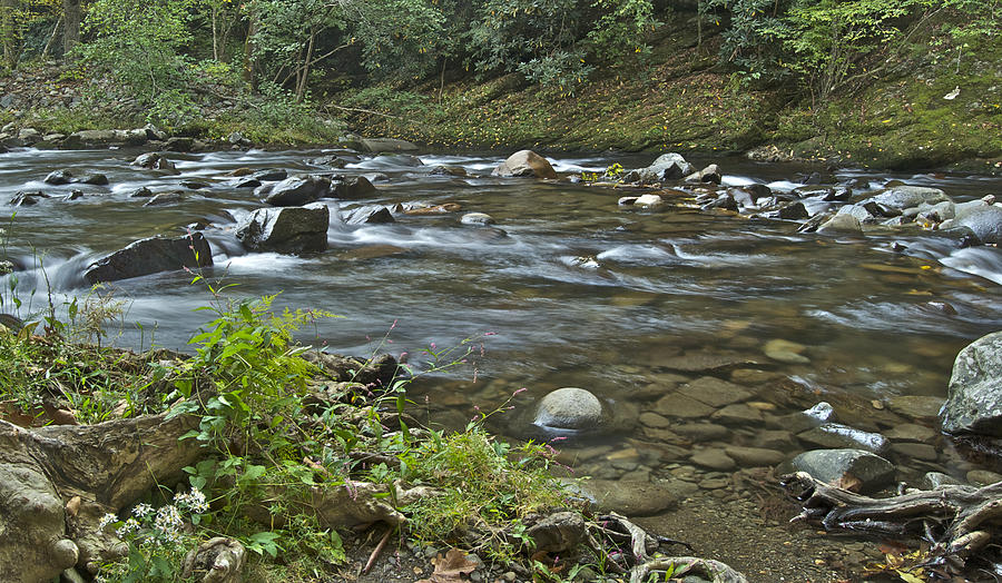 Tennessee Stream 6049 Photograph by Michael Peychich