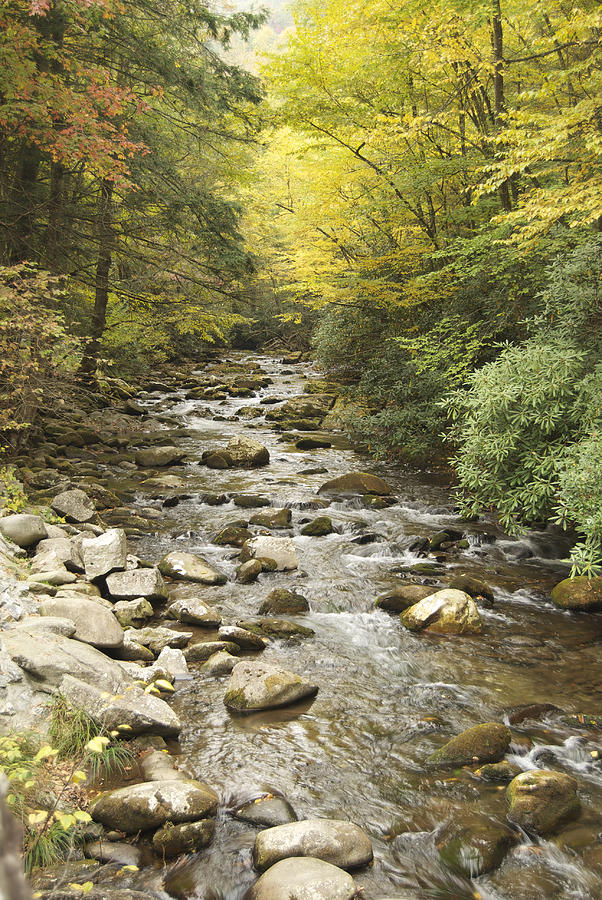 Tennessee Stream 6147 Photograph by Michael Peychich
