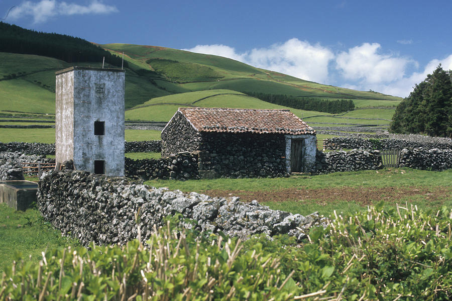 Terceira Photograph by Guy Whiteley