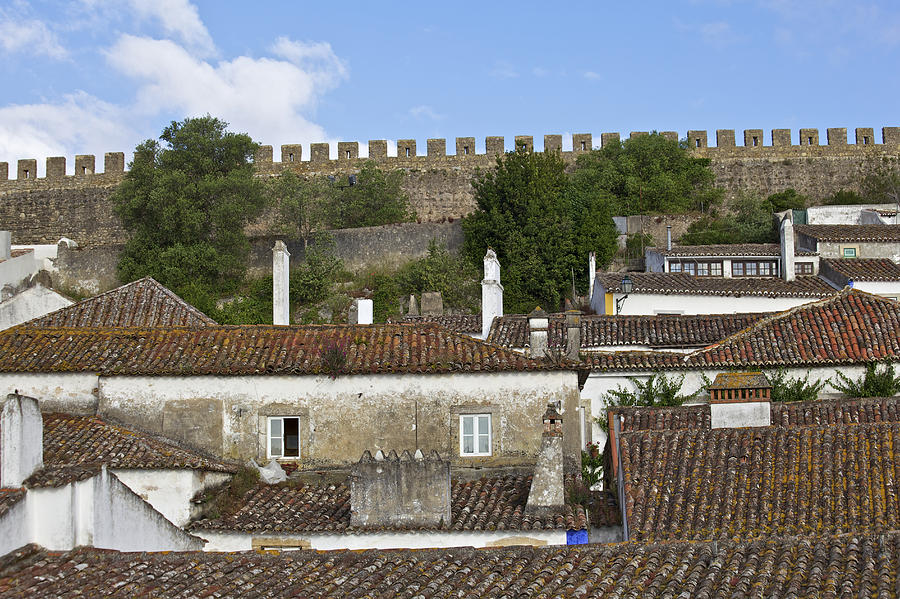 Terracotta Rooftops of the Medieval Village of Obidos II Photograph by David Letts