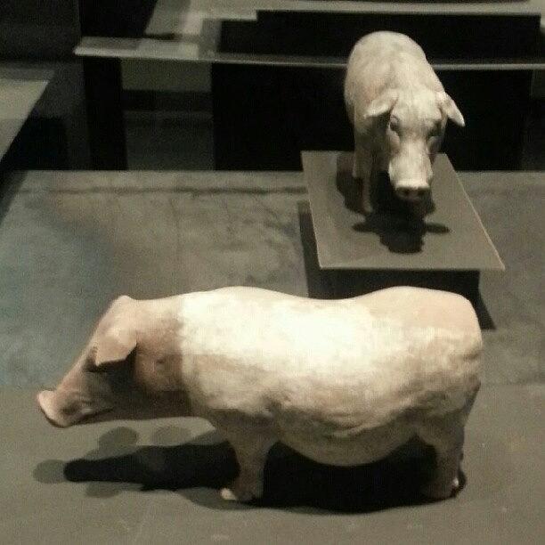 Terracotta Warriors - Pig Photograph by Sacred Urban