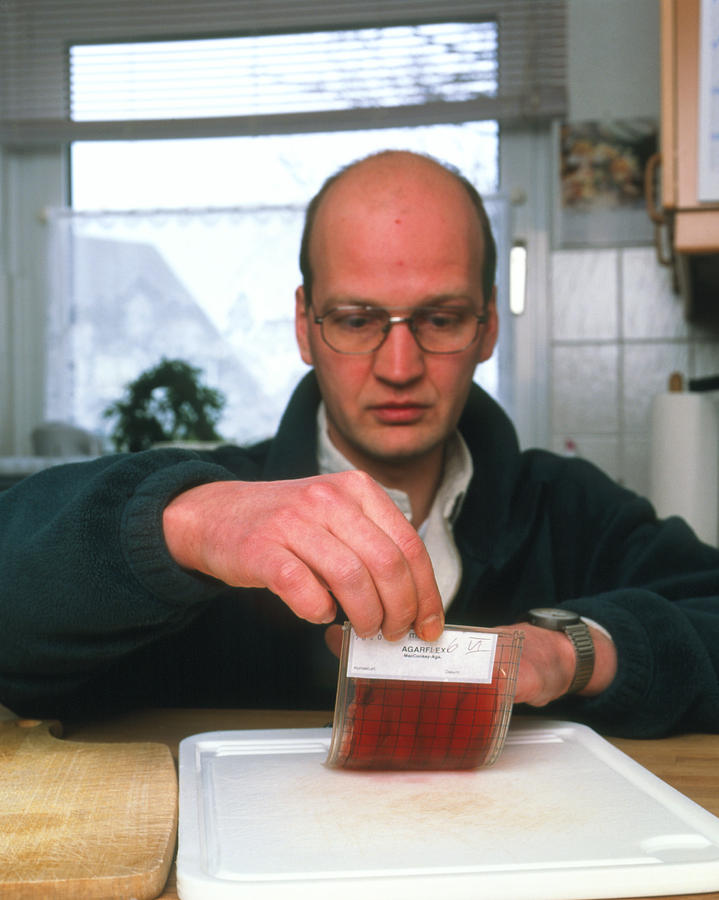 Bacteriology Photograph - Testing For Bacteria by Volker Steger