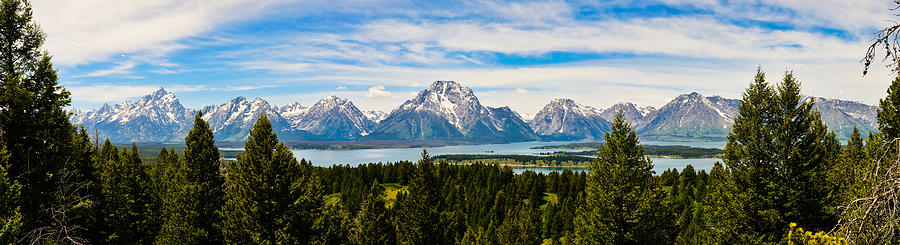 Teton June Panorama Photograph by Greg Norrell