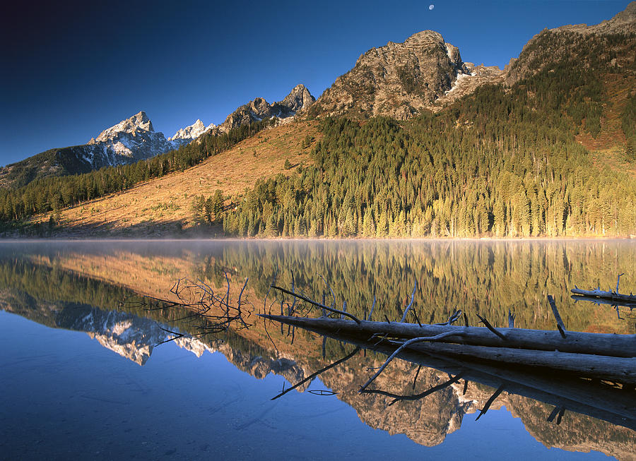 Teton Range Reflecting In String Lake Photograph by Tim Fitzharris