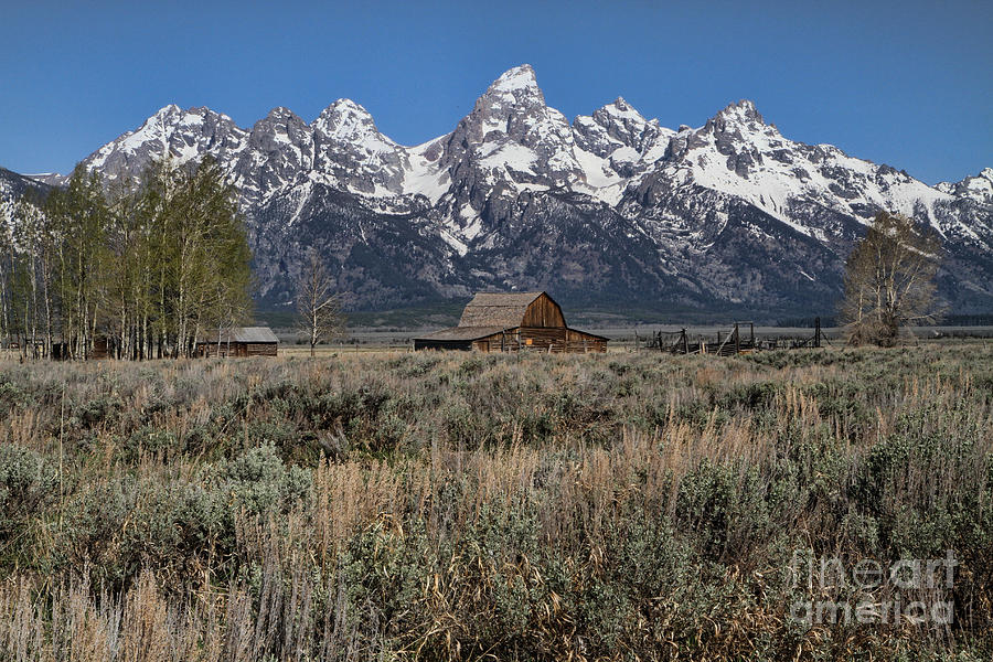 Mountain Photograph - Tetons and Moulton Barn by Edward R Wisell