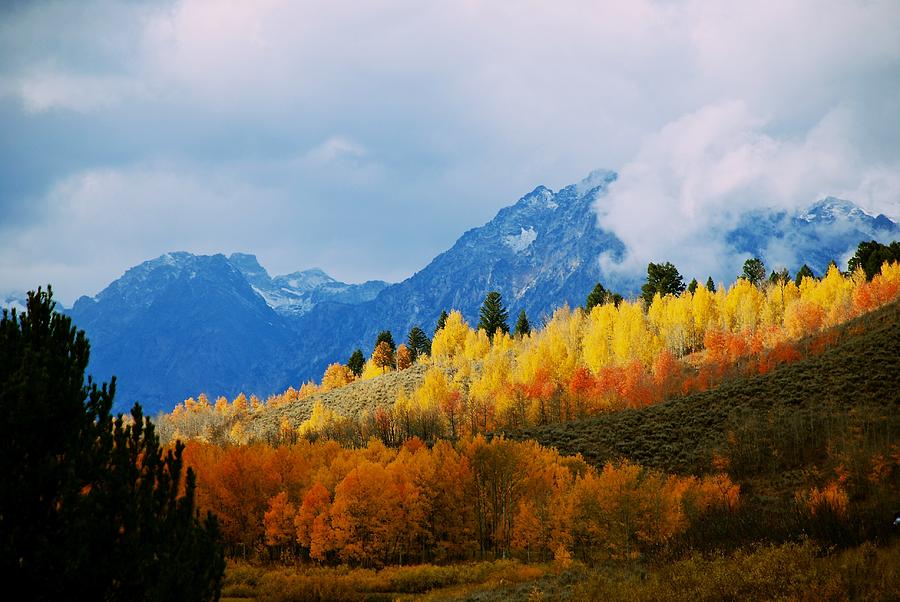 Grand Teton National Park Photograph - Tetons Fall Colors by Eric Tressler