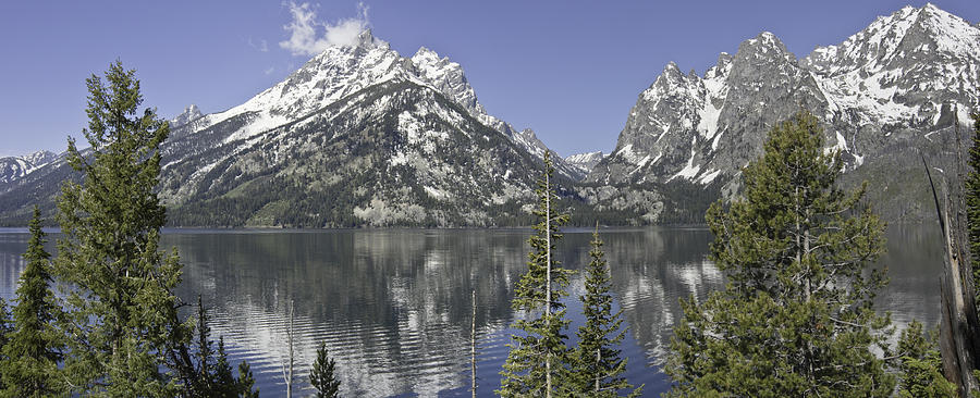 Tetons on opposite shore of Jackson Lake on a clear morning in G Photograph by Alan Tonnesen