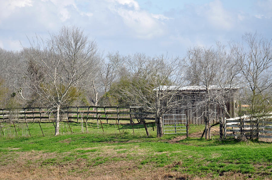 Texas Barn 3 Photograph by Teresa Blanton
