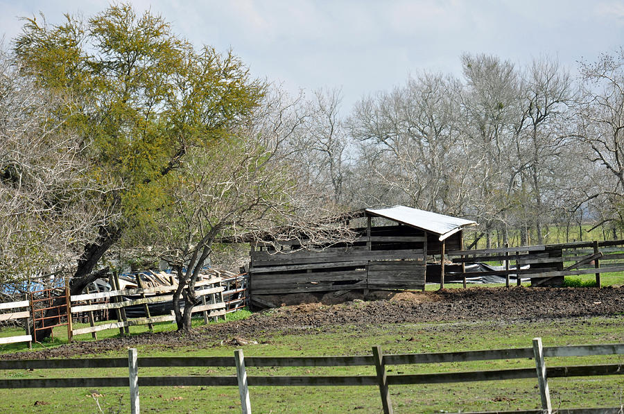 Texas Barn 4 Photograph by Teresa Blanton
