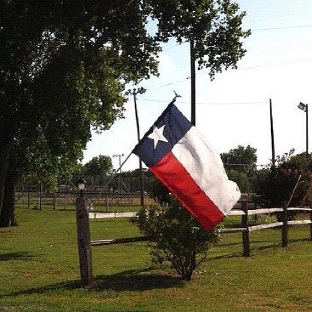 Tree Photograph - #texas #flag #koa #camp by Deb Lew