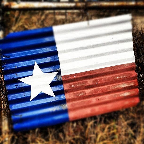 Flag Photograph - #texas #flags Are Everywhere by Nick Lucey