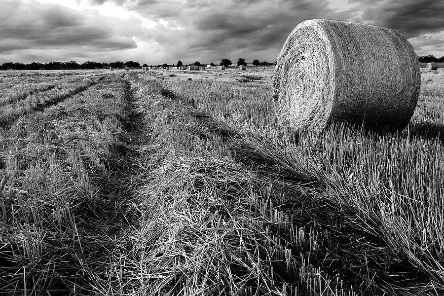 Black And White Photograph - Texas Hill Country Hay Field by Paul Huchton