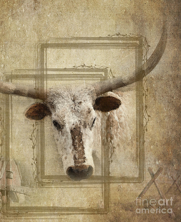 Texas Longhorn View Photograph by Betty LaRue