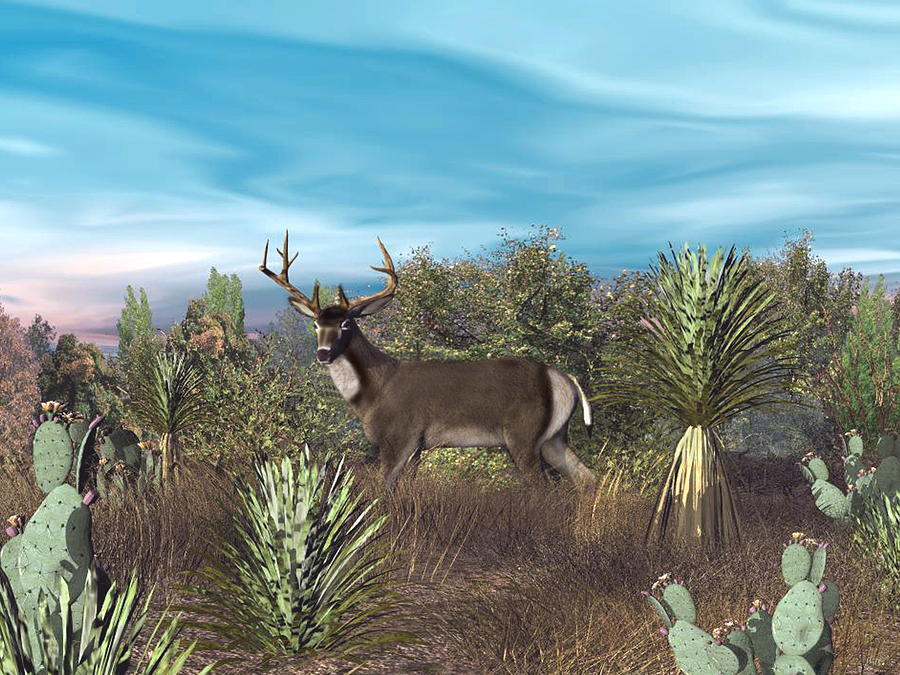 Texas Mule Deer Digital Art by Walter Colvin