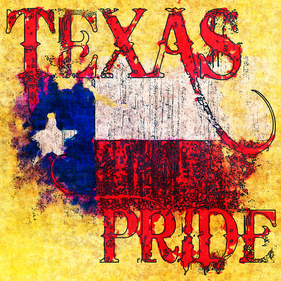 Texas Pride Photograph by David G Paul