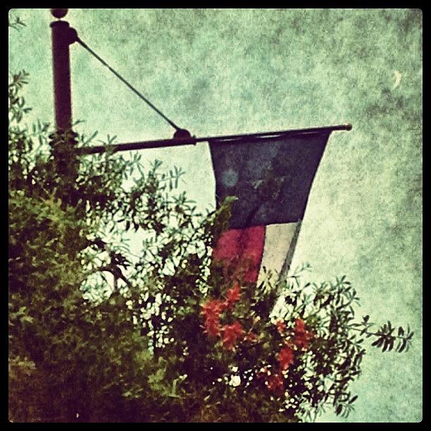Texas Proud Photograph by Montrae Harris