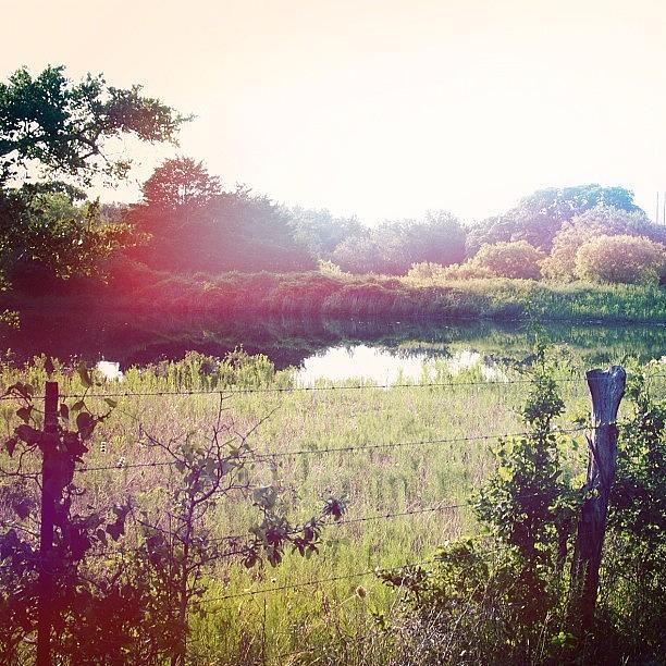 Sunset Photograph - Texas Sunset. #pond #flatonia #ranch by Victoria Haas