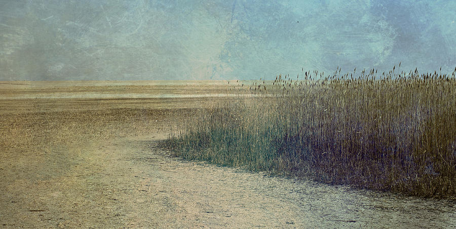 Textured Beach Photograph by Roni Chastain
