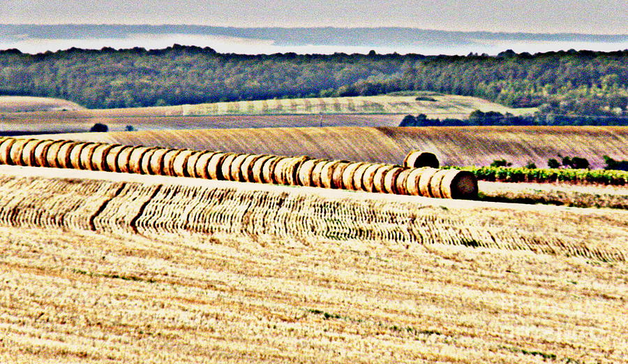 Textured Fields of France Photograph by Lainie Wrightson