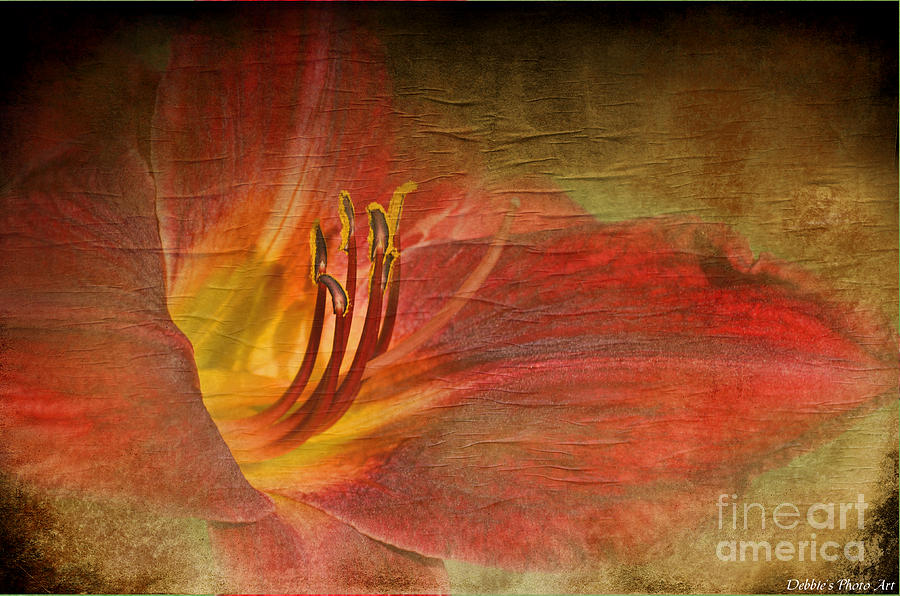Nature Photograph - Textured Red Daylily by Debbie Portwood