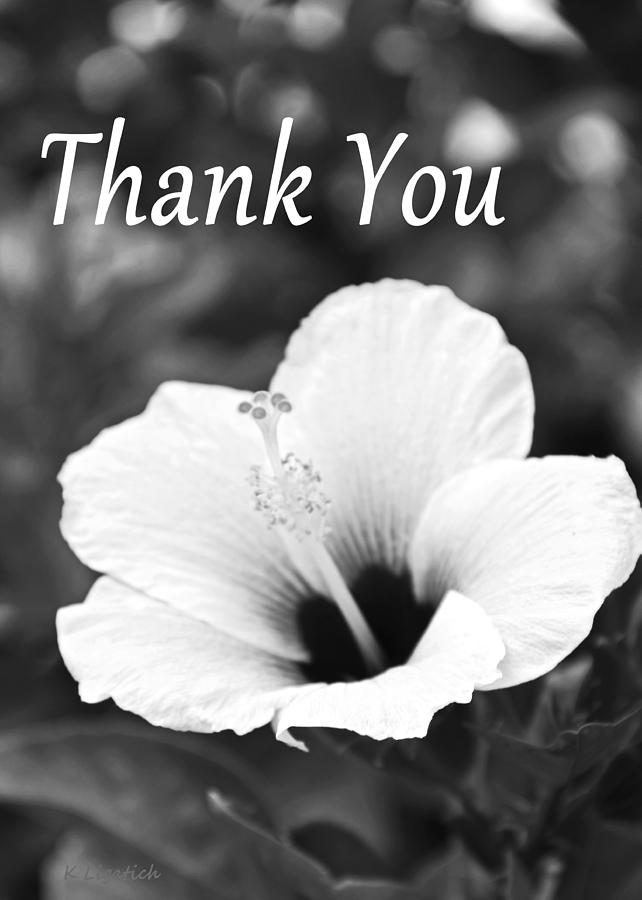 Thank You - Hibiscus Black and White Photograph by Kerri Ligatich